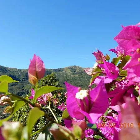 Casa Romantica In Liguria アパート *